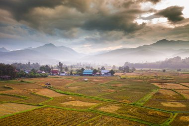 Tayland 'ın kuzeyinde gün doğumunda dağın önünde pirinç terası.