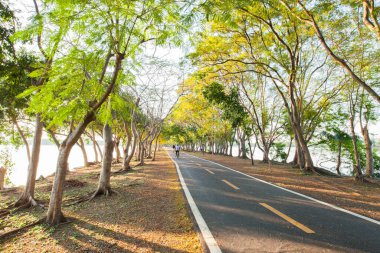 Bangkok Tayland 'da gün batımında ağaçların arasında boş koşu yolları var.