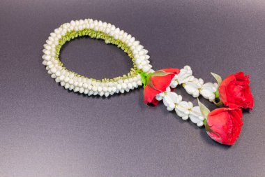 Beyaz arkaplanda taze kırmızı gülün yakın plan renkleriyle dolu