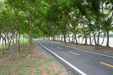 Bangkok Tayland 'da gün batımında ağaçların arasında boş koşu yolları var.