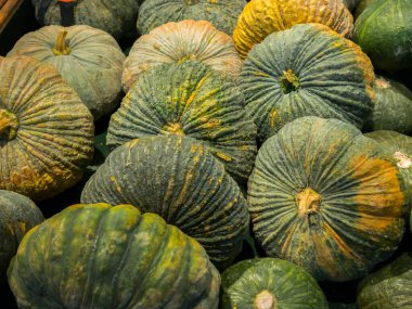 Taze yeşil balkabağı taze gıda pazarında düzenlenmiştir.