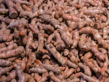 Taze kahverengi zencefil renginin doğal cildini kapat