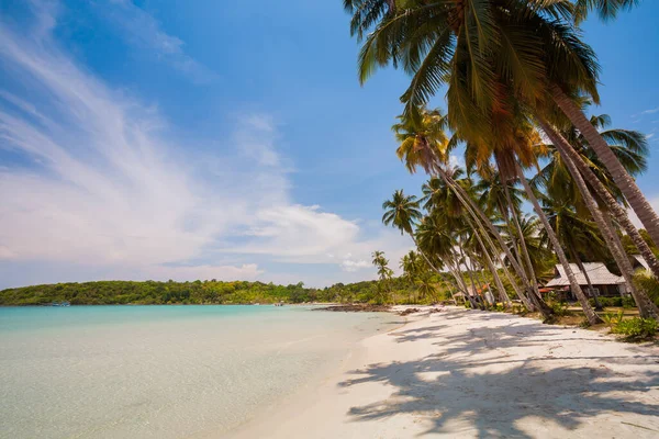 Strand Meer Tropicana Unter Klarem Himmel Und Palme Östlich Von — Stockfoto