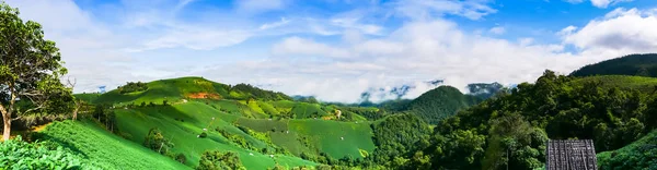 Güneşin doğuşuyla birlikte yeşil dağın manzarası. Tayland 'ın kuzeyindeki açık mavi gökyüzü.