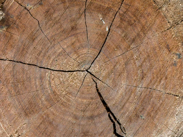 Closeup Nature Surface Texture Style Wooden Brick Wall Stone Sheet — Stock Photo, Image