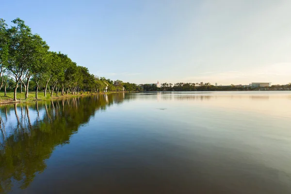 Gün batımında göl manzarası Bangkok Tayland 'daki ağaç ile zamanlama