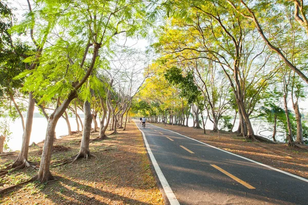Bangkok Tayland 'da gün batımında ağaçların arasında boş koşu yolları var.