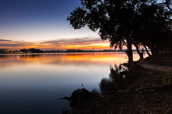 Θέα Στη Λίμνη Στο Ηλιοβασίλεμα Χρονοδιάγραμμα Δέντρο Που Βρίσκεται Μπανγκόκ — Φωτογραφία Αρχείου