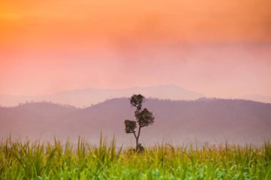 Tayland 'ın kuzeyinde, dağların önünde, yeşilliğin üzerinde, gün batımının renkli gökyüzü.