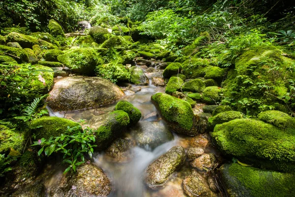 Tayland 'ın güneyinde yeşillik olan taşa düşen bir şelale.