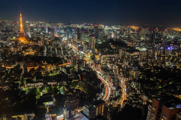 Barevný Noční Pohled Tokijský Záliv Japonsku — Stock fotografie