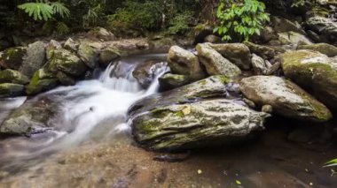 Su, Tayland 'daki Phu Suan Sai Ulusal Parkı' ndaki tropik ormanlara dökülüyor.