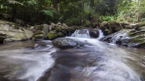 Chute Eau Dans Les Jungles Tropicales Emplacement Parc National Phu — Video