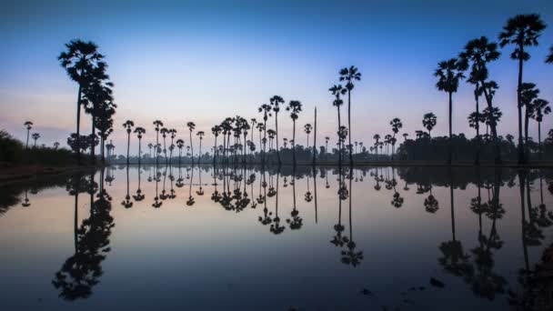 Palmy Odbijają Się Wody Wschodzie Słońca Pod Kolorowym Niebem — Wideo stockowe
