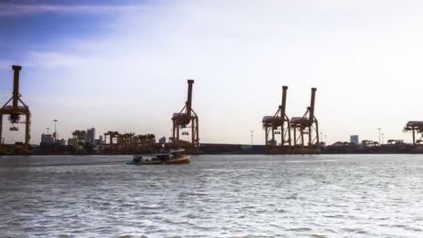 Envío Transporte Marítimo Están Bajo Organizar Carga Contenedores — Vídeo de stock