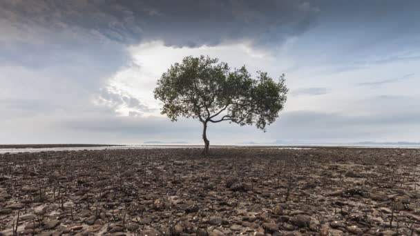 Arbre debout sous le ciel nuageux