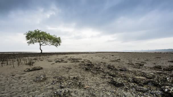 Arbre debout sous le ciel nuageux