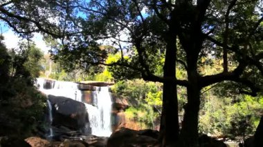 Tropikal ormanlara düşen su