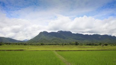 Yaz mevsiminde açık mavi gökyüzünde beyaz bulutlu hareket