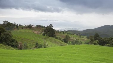 Yaz mevsiminde açık mavi gökyüzünde beyaz bulutlu hareket