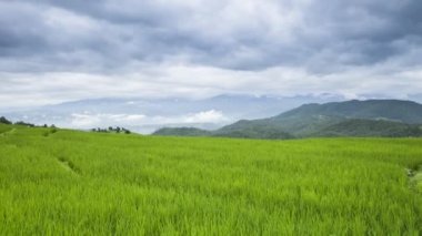 Yaz mevsiminde açık mavi gökyüzünde beyaz bulutlu hareket