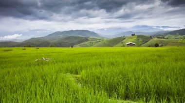 Yaz mevsiminde açık mavi gökyüzünde beyaz bulutlu hareket