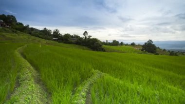 Yaz mevsiminde açık mavi gökyüzünde beyaz bulutlu hareket