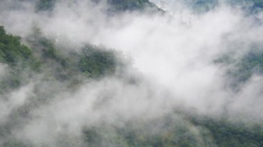 Tayland 'ın kuzeyindeki yeşil orman dağının ardında sisli bir yer var.