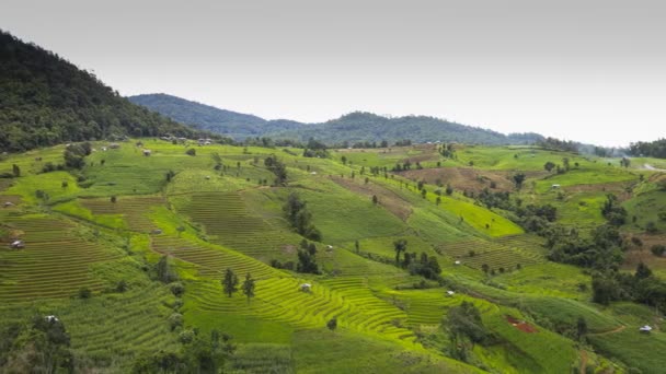 Nebel Berg Und Wolkenverhangener Himmel Tropicana — Stockvideo