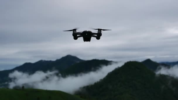 Drone Vole Sur Vert Classé Avec Fond Montagne — Video