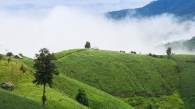 Tayland 'ın kuzeyindeki yeşil orman dağının ardında sisli bir yer var.