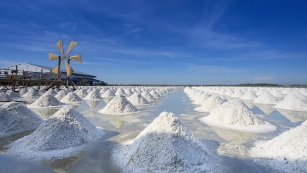 Giri Tempo Salina Sotto Cielo Limpido Posizione Soleggiata Giorno Sud — Video Stock