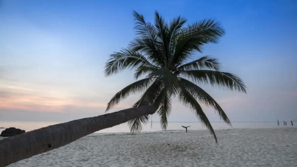 Coqueiro Praia Sob Céu Limpo Tropicana Localização País Sul Tailândia — Vídeo de Stock