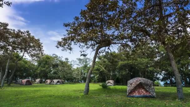 Paysage Vue Camping Tente Réflexion Sur Eau Derrière Forêt Verte — Video