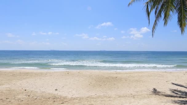 Árbol Coco Pie Playa Bajo Cielo Despejado Ubicación Del País — Vídeos de Stock