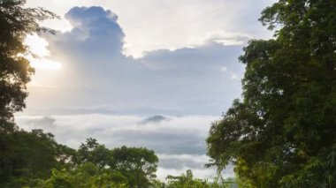 Tayland 'da kış mevsiminin gündoğumunda dağın tepesindeki bulutlu manzaranın zaman turları 