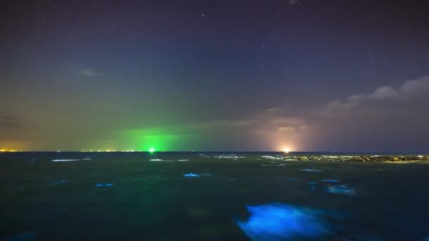 Floraison Plancton Illumine Sur Mer Pendant Nuit Thailand — Video