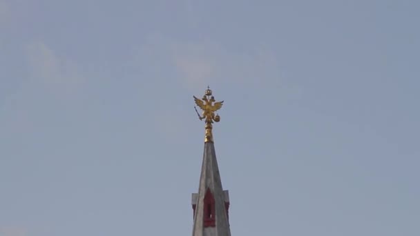 Adler Auf Dem Gebäude Des Historischen Museums Moskau — Stockvideo
