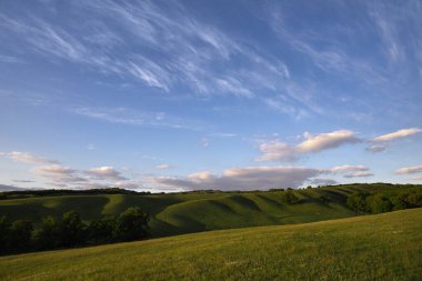 Minimalist yeşil çayır ve tepeler, pembe bulutlu güzel mavi gökyüzü. Günün akşam vakti.