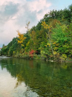 Nehirdeki ağaçların yansıması