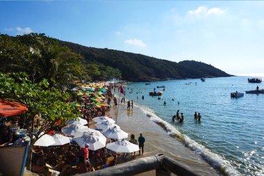  Joao Fernandes plajı güneşli bir sabahta       