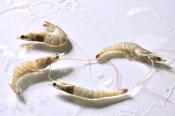 Crevettes Crues Sur Fond Blanc — Photo