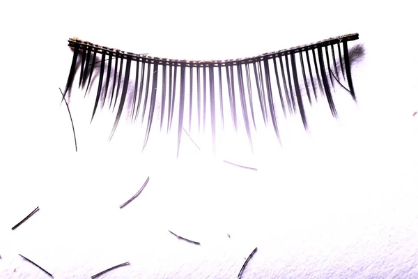 False Eyelashes Isolated White Background — Stock Photo, Image