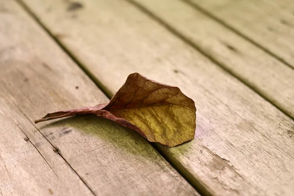 Otoño Seco Hoja Marrón Muerto Acostado Sobre Fondo Madera — Foto de Stock