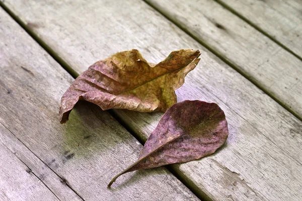 Jesienne Suchy Liść Martwy Brązowy Leżącej Podłoże Drewniane — Zdjęcie stockowe