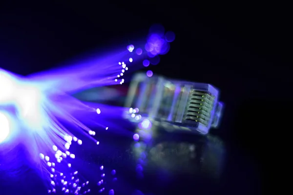 Network Cable Fiber Optics Light Black Background — Stock Photo, Image