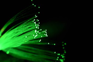 Siyah arka planda izole fiber optik kablo