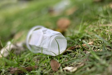 Yeşil çim alanında atılmış plastik su bardağı.