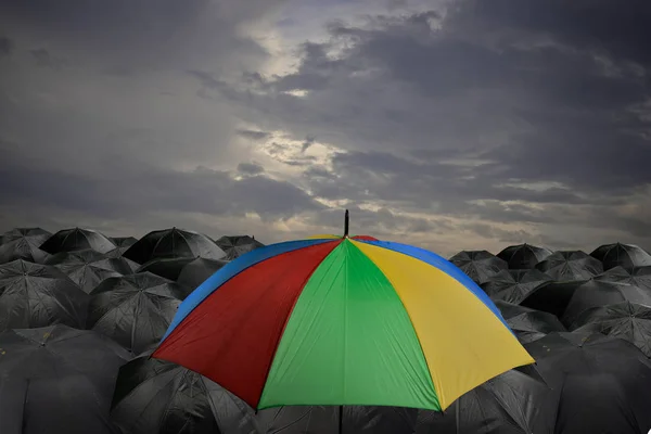 Colorful Umbrella Many Black Umbrella Rainy Season — Stock Photo, Image