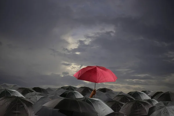 Parapluie Rouge Parmi Beaucoup Parapluie Noir Dans Une Journée Nuageuse — Photo